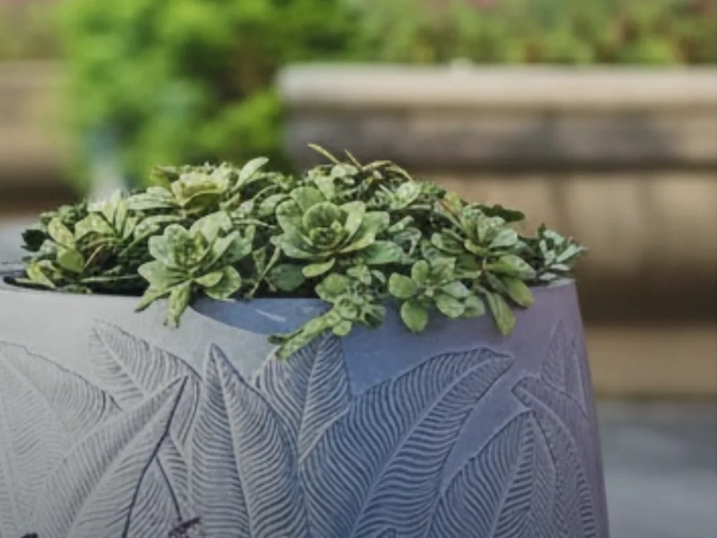 Fibre-clay planter with botanical relief texture, planted